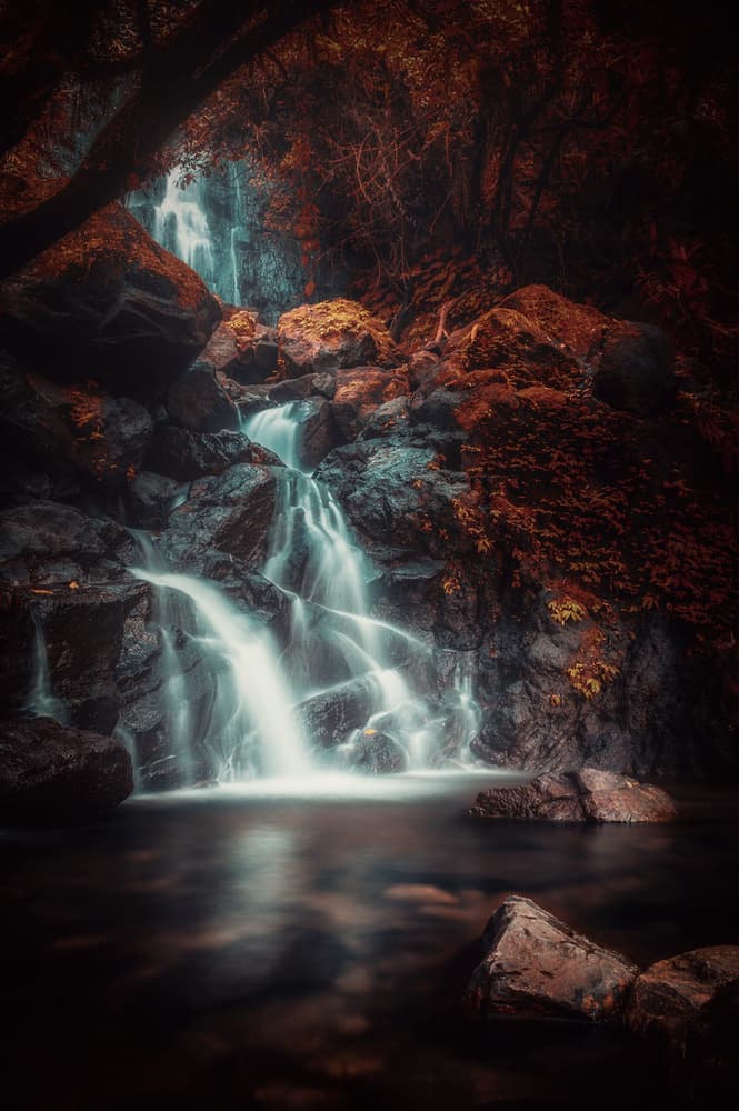 Moody Forest Waterfall by Rudi Gunawan — canvas wall art