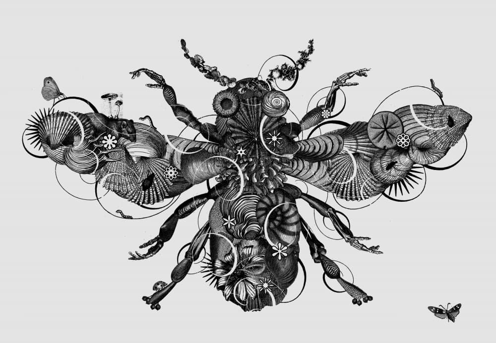 Ornate Insect Fantasy by Jaco Putker — canvas wall art