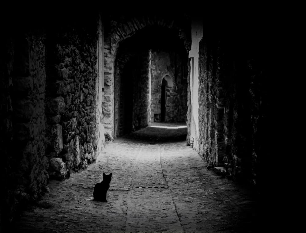 Black Cat in Dark Alley by Ömer Ates Kızıltug — canvas wall art