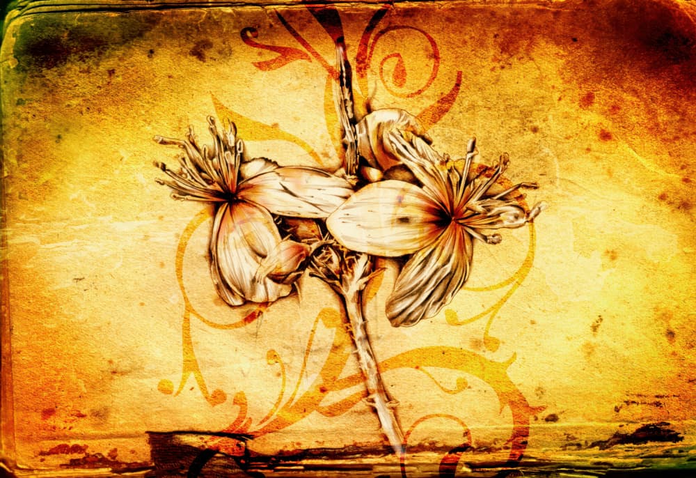 Warm Vintage Botanicals by Rafal Kulik — canvas wall art