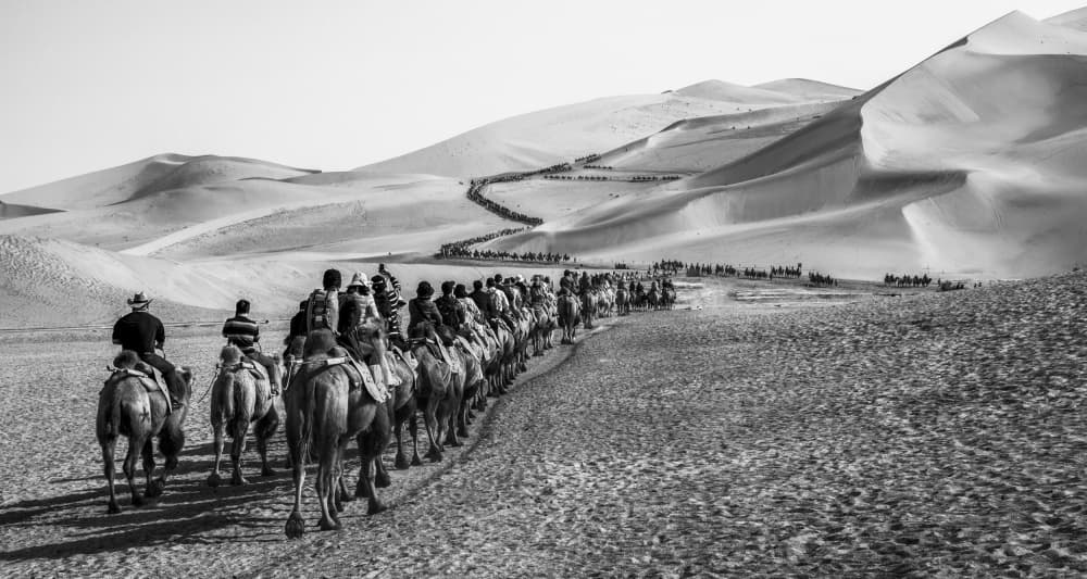 Desert Camel Caravan by Qiang Liu — canvas wall art