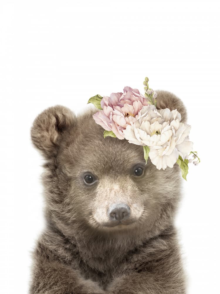 Bear Cub Floral Crown by Lila &amp; Lola — canvas wall art