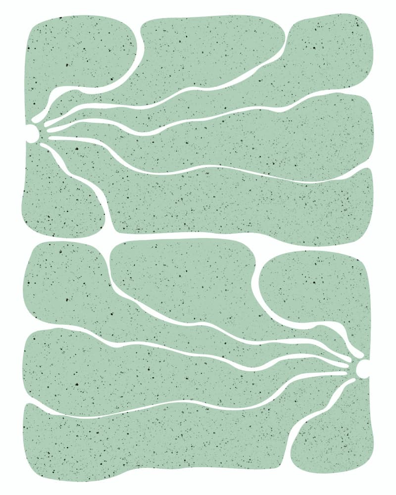 Serene Organic Flow by Uma Gokhale — canvas wall art