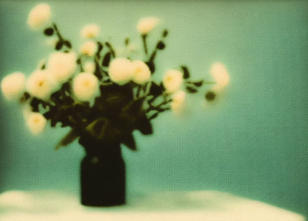 Soft White Blooms by Cicero Spin — canvas wall art