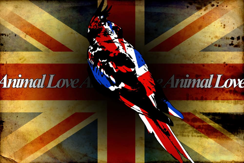 Patriotic Parrot Grunge Flag by Rafal Kulik — canvas wall art