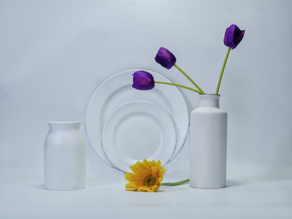 Minimalist Floral Arrangement by PARTHA BHATTACHARYYA — canvas wall art