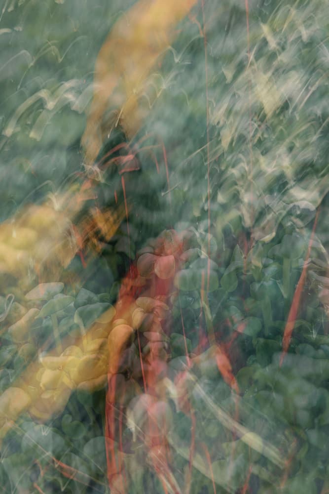 Fluid Organic Energy by Pelin Atilla — canvas wall art