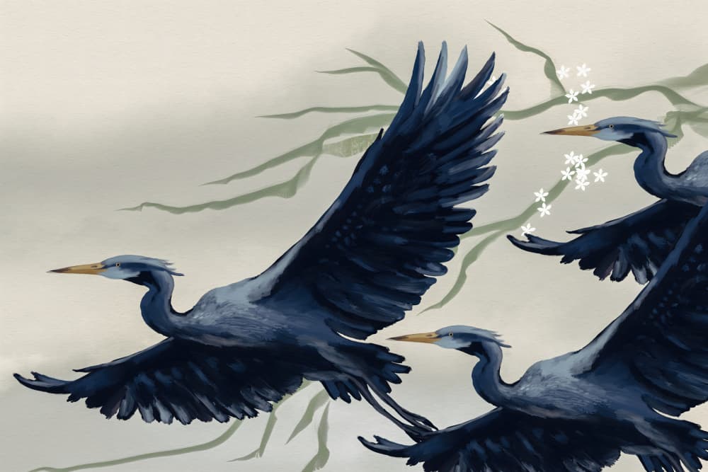 Flying Herons and Blossoms by Josie George — canvas wall art