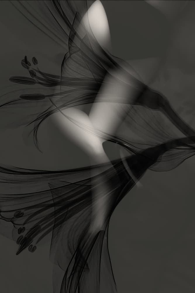 Ethereal Grey Lilies by Erik Schottstaedt — canvas wall art