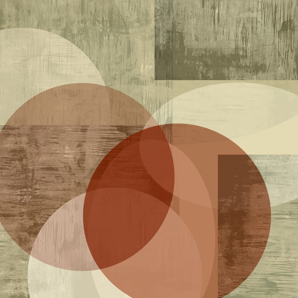 Overlapping Earthy Circles by cartissi — canvas wall art