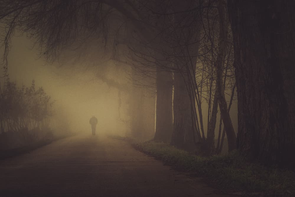 Mysterious Foggy Road by Andrea Fraccaroli — canvas wall art
