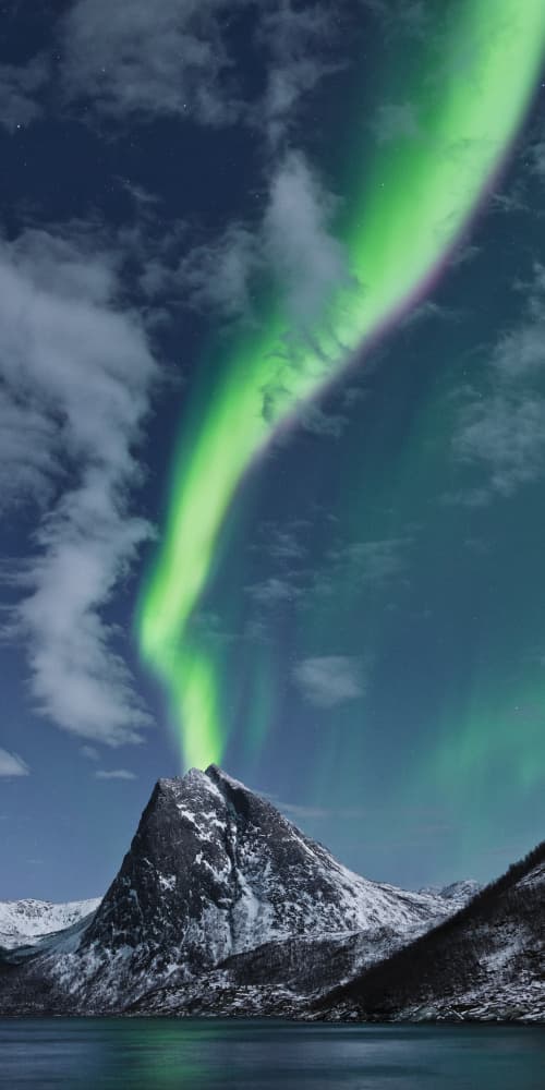 Green Eruption by Stefan Hefele — canvas wall art