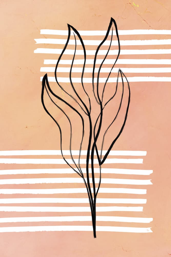 Minimalist Botanical Study by Martina — canvas wall art