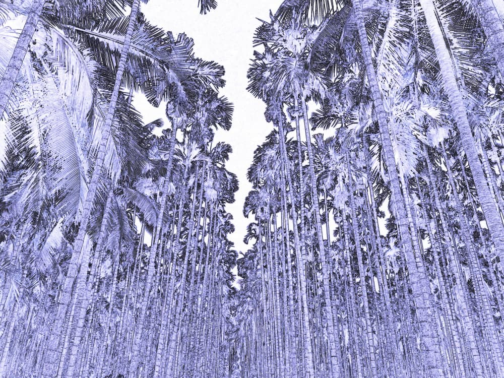 Blue Palm Forest by Santhosh ch — canvas wall art