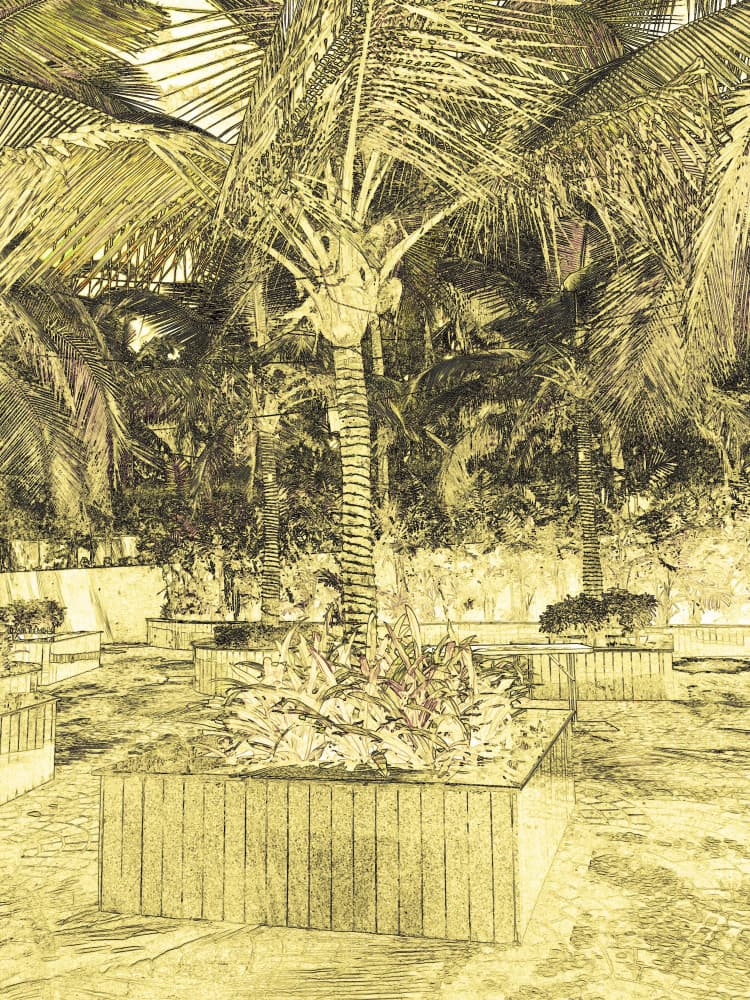 Tranquil Palm Grove by Santhosh ch — canvas wall art