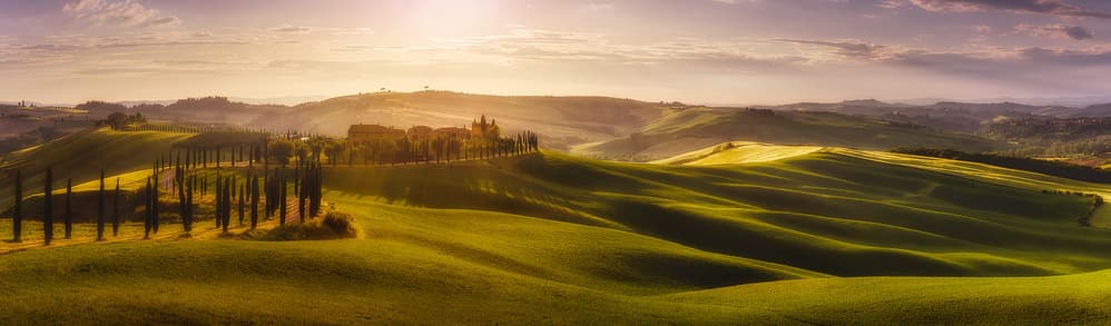 Rolling Tuscan Cypress Hills by Javier de la Torre — canvas wall art