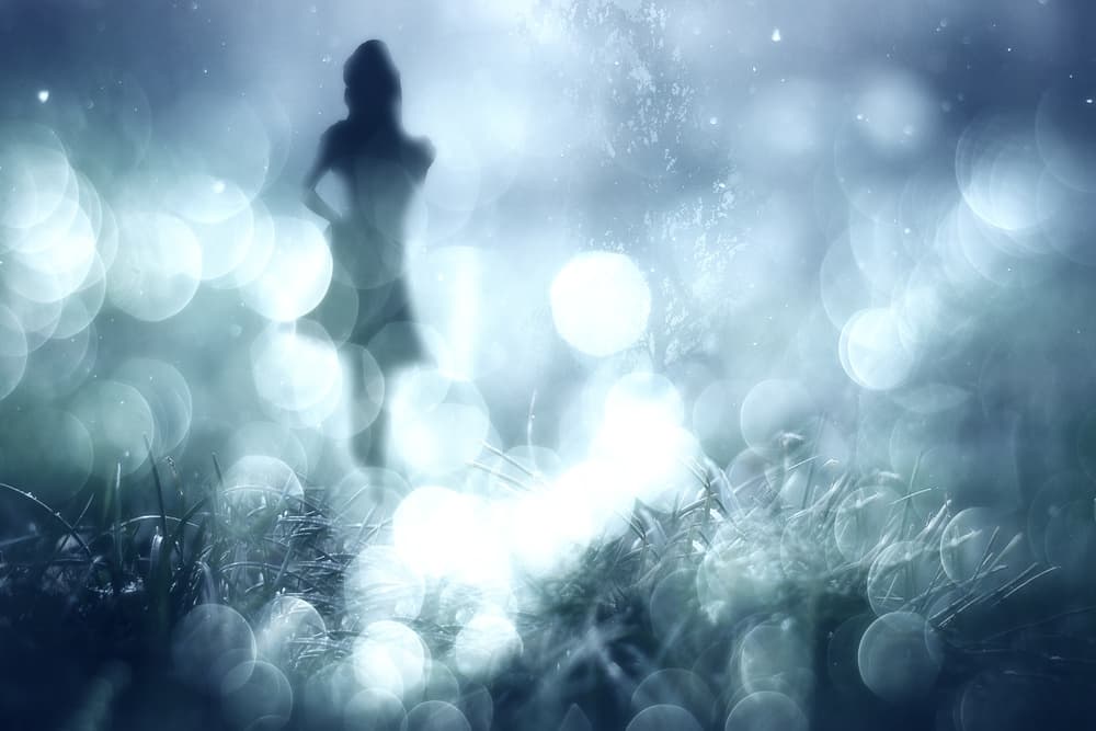 Ethereal Mist Silhouette by Stefan Eisele — canvas wall art