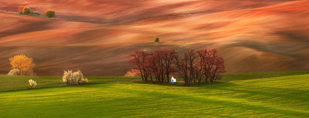 Vibrant Rolling Hills by Jan Šmíd Master QEP — canvas wall art