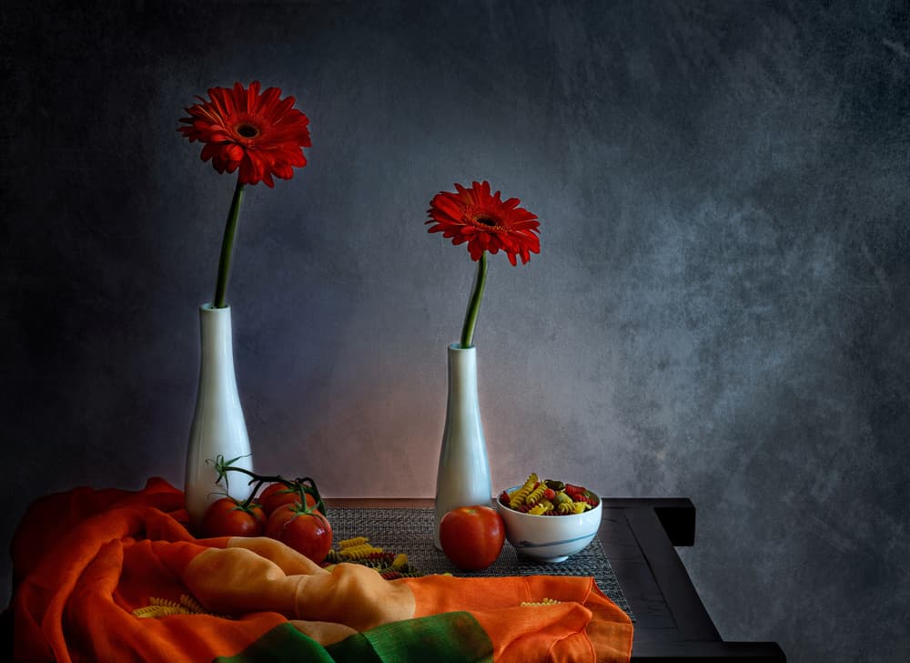 Red Gerbera Still Life by Jie Fischer — canvas wall art