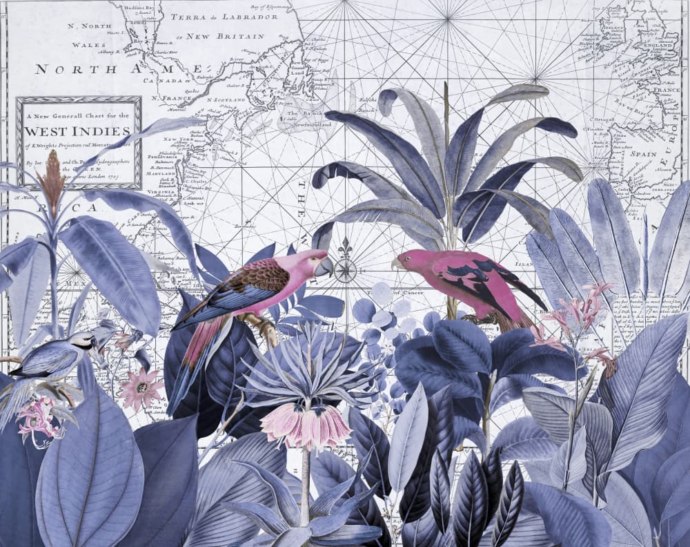 Pink Parrots Tropical Map by Andrea Haase — canvas wall art