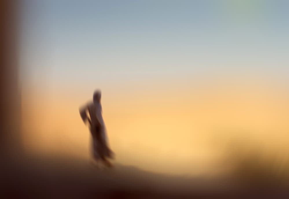 Golden Hour Journey by Anna Cseresnjes — canvas wall art