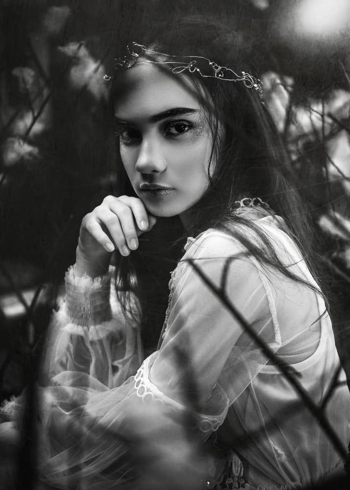 Ethereal Forest Gaze by Djayent Abdillah — canvas wall art
