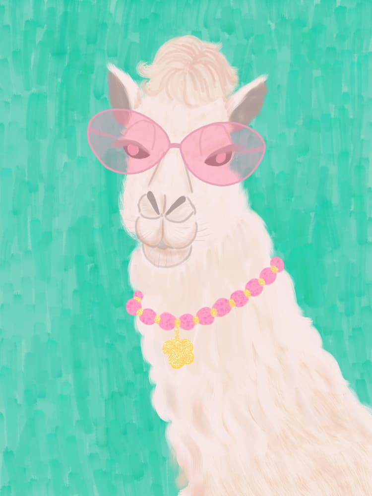 Sassy Llama Pink Shades by Aliya Putrus — canvas wall art