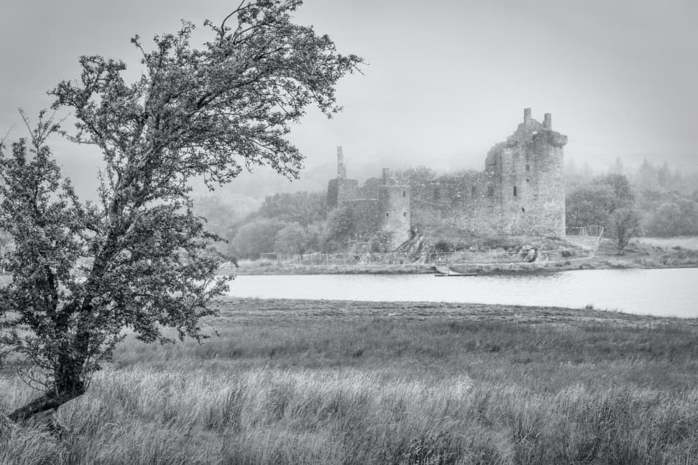Misty Castle and Tree by Rainer Inderst — canvas wall art