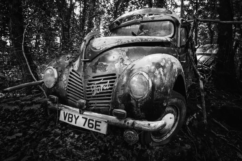 Forgotten Forest Truck by Adam Dauria ☂ — canvas wall art