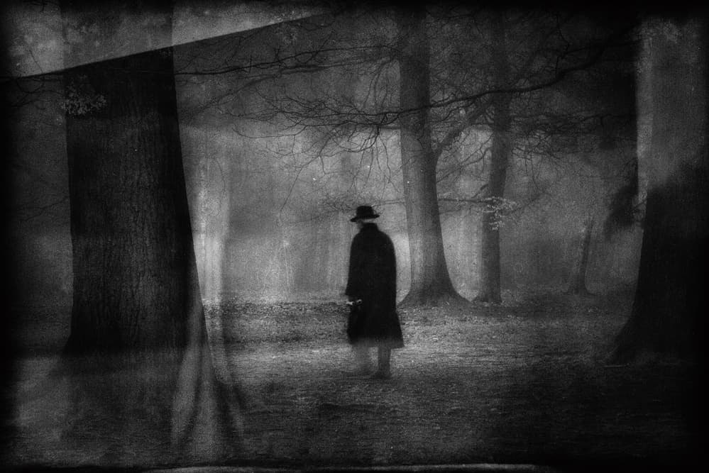 Mysterious Man Dark Woods by Saskia Dingemans — canvas wall art