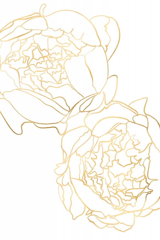 Elegant Gold Peonies by Rosana Laiz Blursbyai — canvas wall art