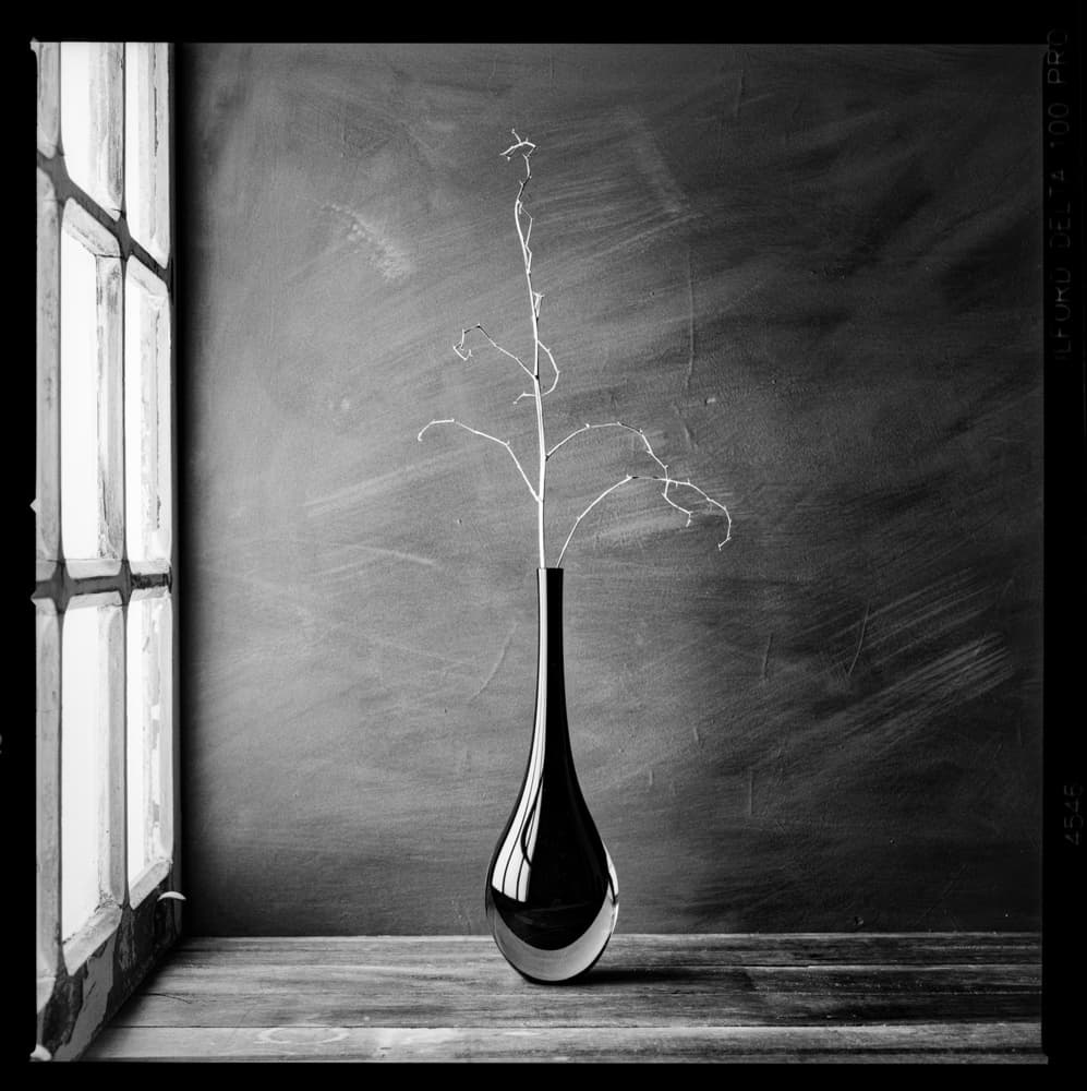 Minimalist Branch Vase by Luiz Laercio — canvas wall art