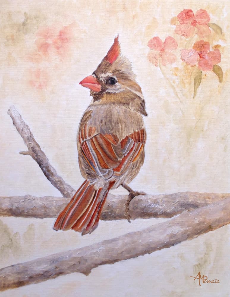 Brown Cardinal Perched by Angeles M. Pomata — canvas wall art
