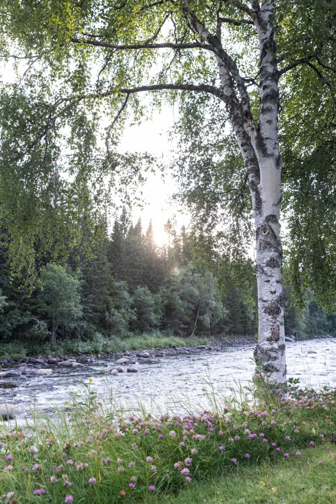 My Norway Diary 2 by Mareike Böhmer — canvas wall art