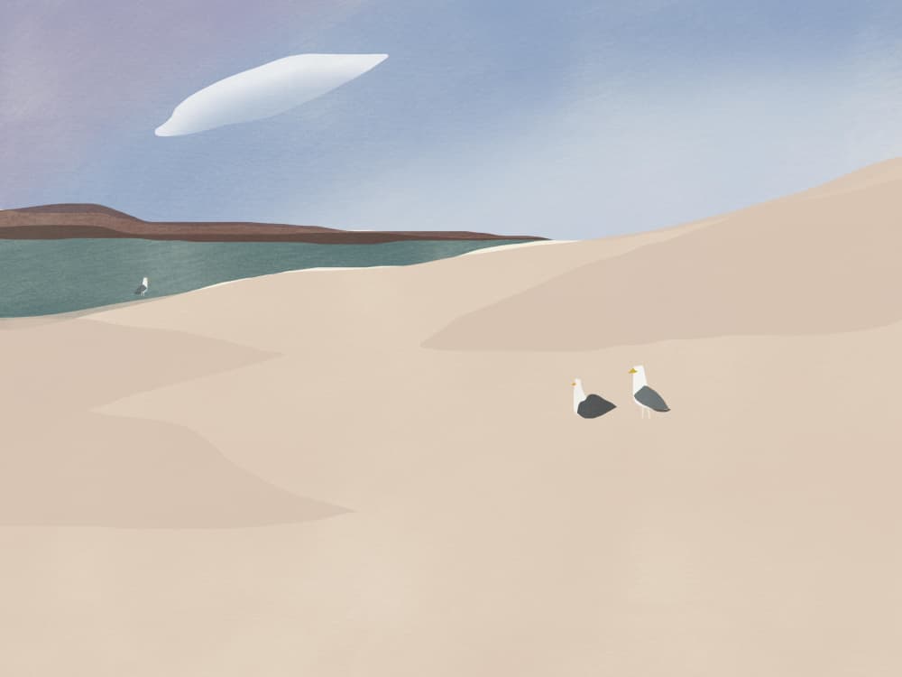 Seagulls on Sandy Beach by Little Dean — canvas wall art