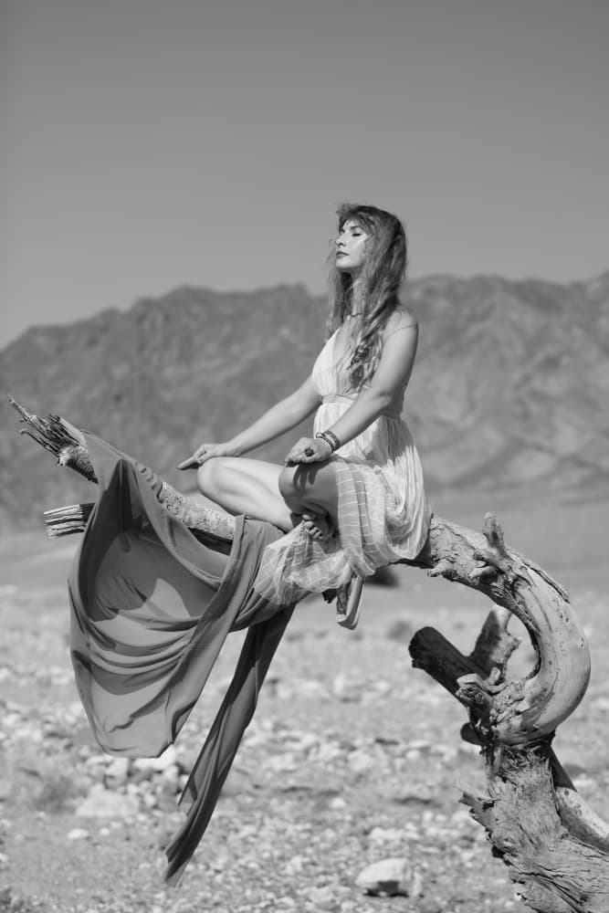 Bohemian Desert Meditation by Yoram GIL — canvas wall art