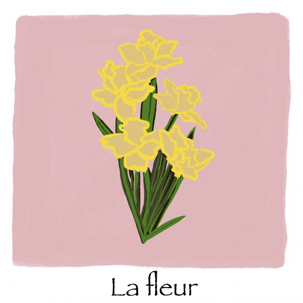 Yellow Daffodil Bloom by Sharyn Bursic — canvas wall art