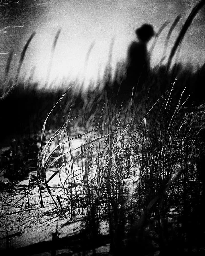 Mysterious Silhouette in Grass by Bogdan Bouşcă — canvas wall art