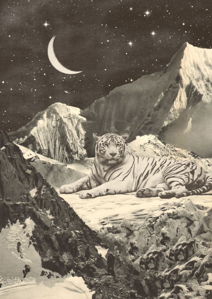 Celestial White Tiger by Florent Bodart — canvas wall art