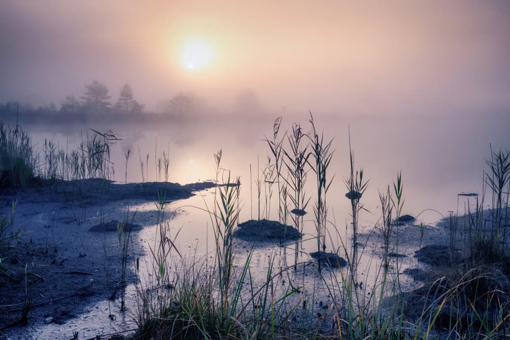 Misty Lake Sunrise by Ulrike Eisenmann — canvas wall art