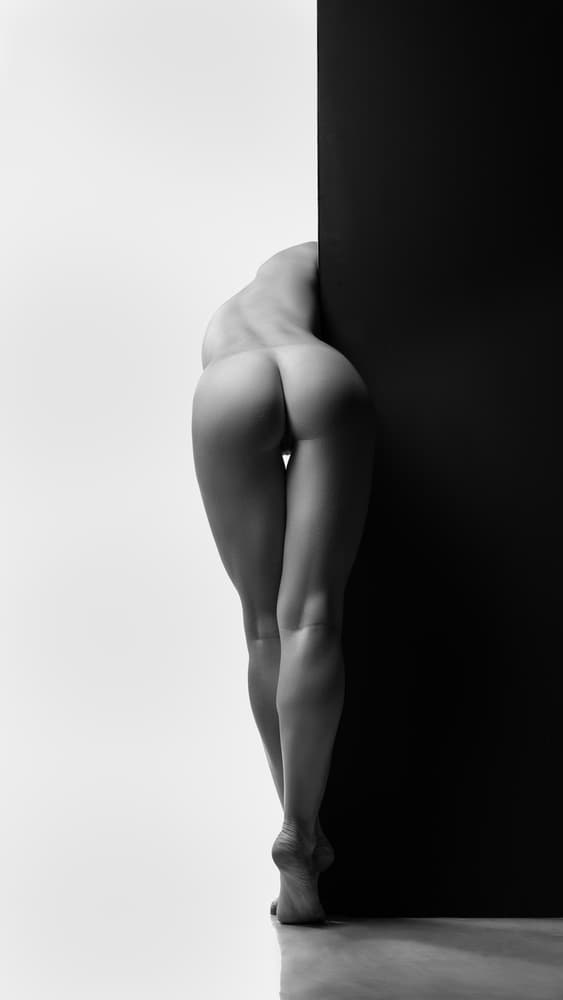 Nude Form Contrast by AURIMAS VALEVICIUS — canvas wall art