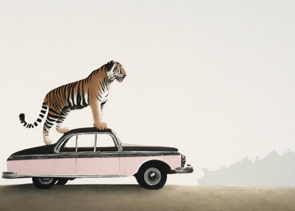 Pink Car Safari by Andreas Magnusson — canvas wall art