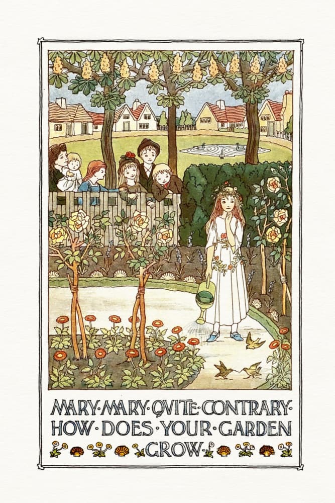 Mary Mary Quite Contrary by Wild Violets — canvas wall art