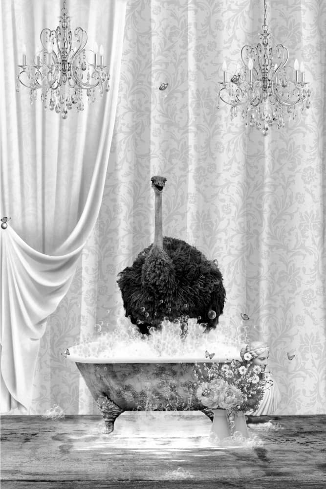 Whimsical Ostrich Bath by Sue Skellern — canvas wall art