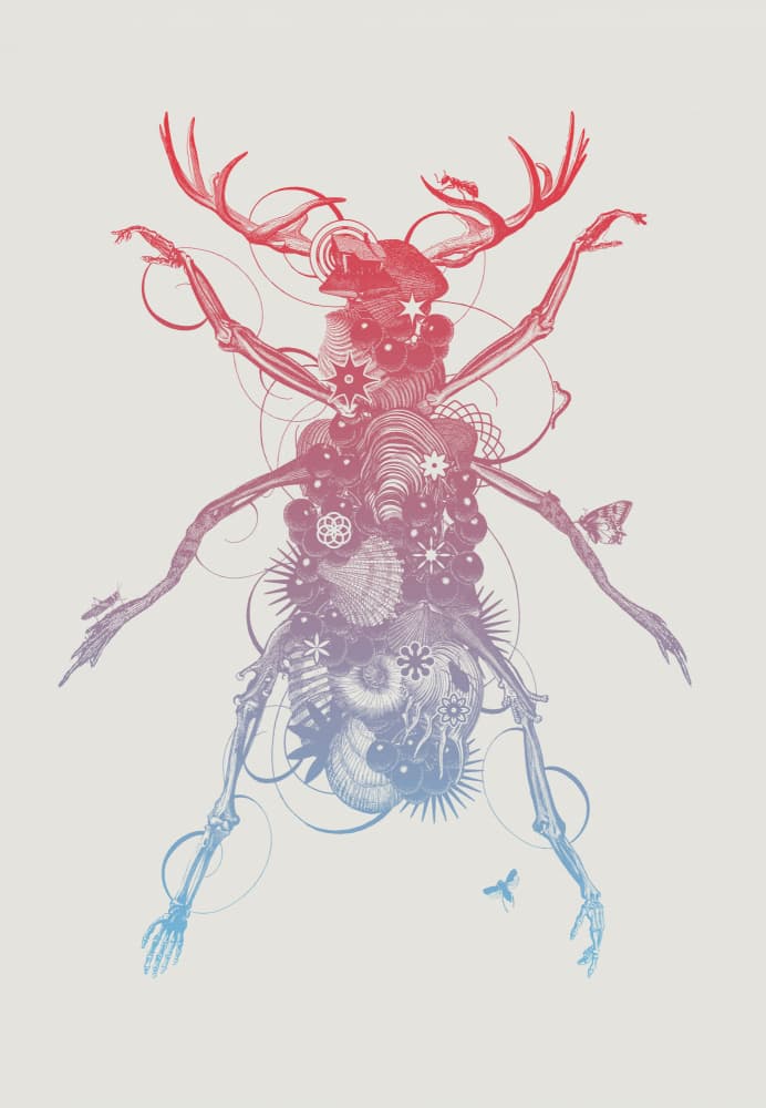Surreal Antlered Beetle by Jaco Putker — canvas wall art