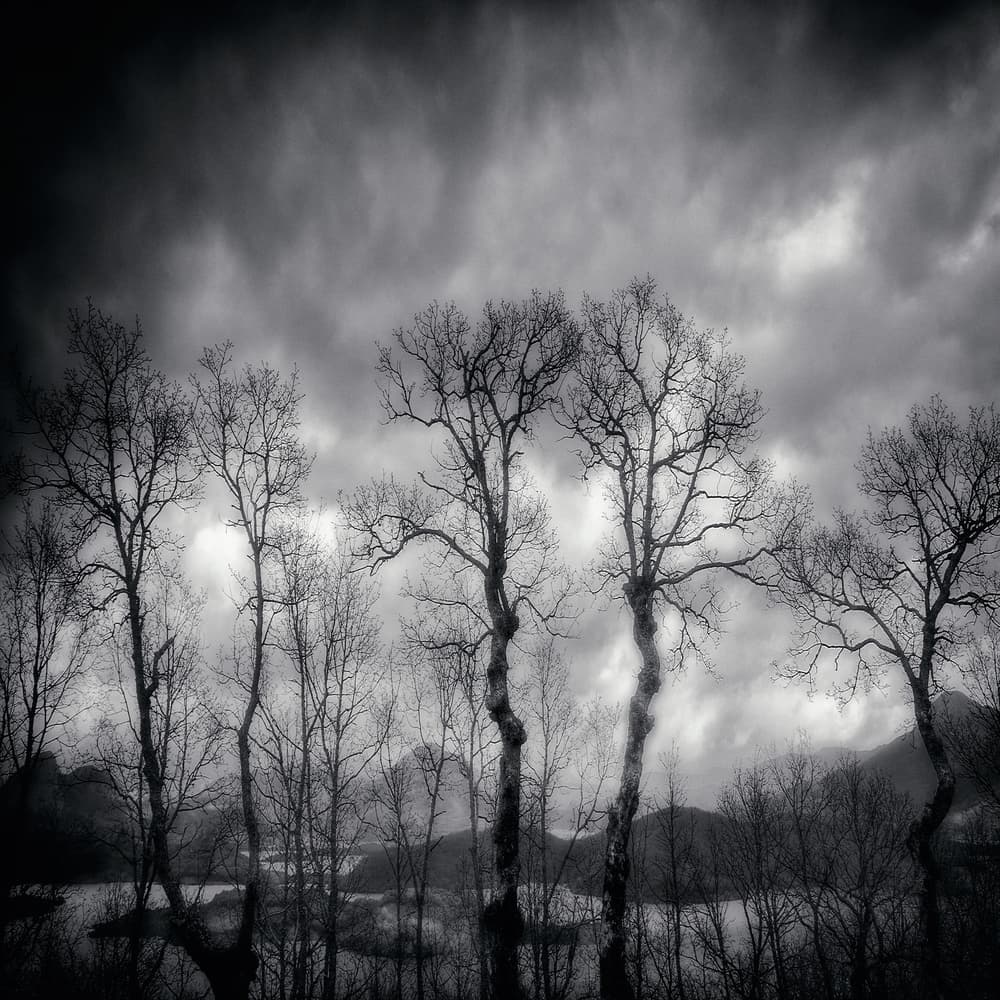 Dramatic Winter Landscape by txules — canvas wall art