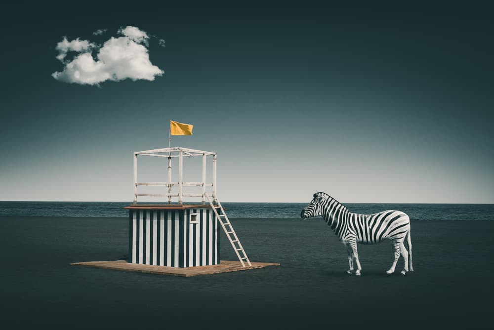 Surreal Beach Zebra by Marcus Hennen — canvas wall art