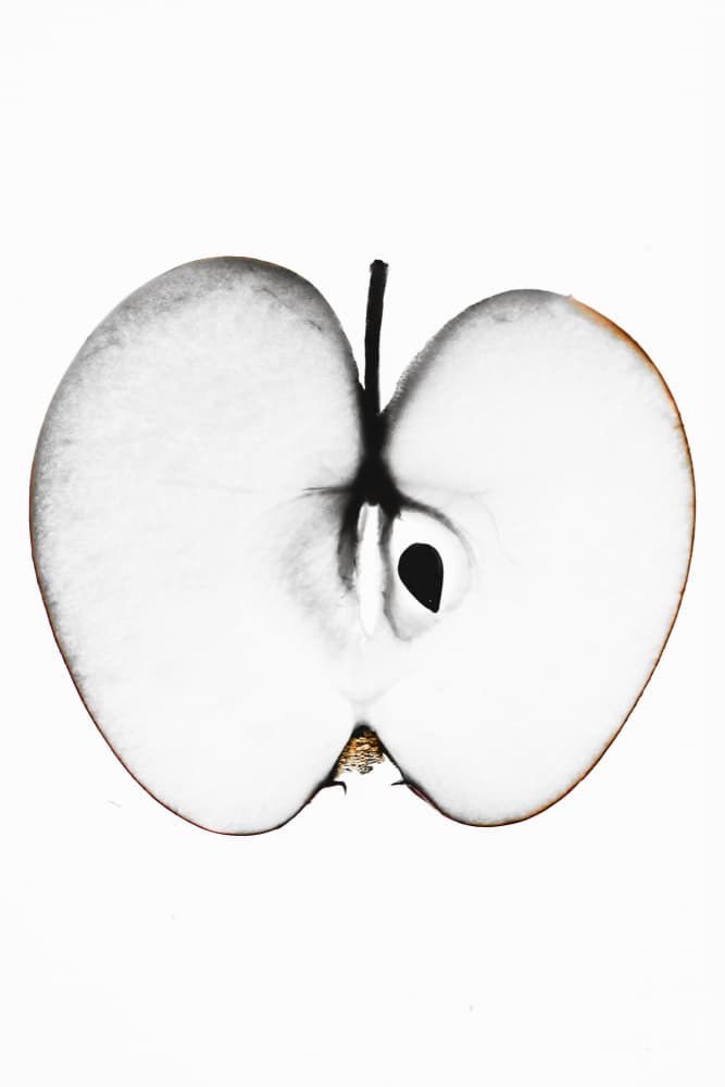 Stark Apple Half by Magda Izzard — canvas wall art