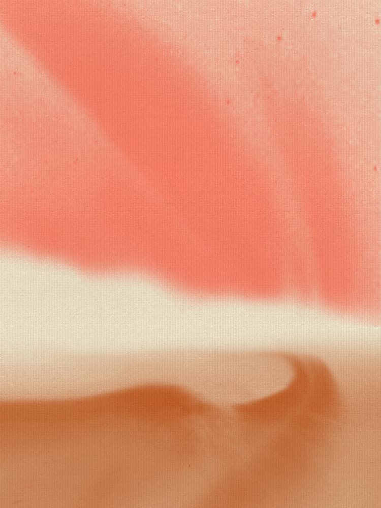 Peach Desert Dreams by Dina Dankers — canvas wall art