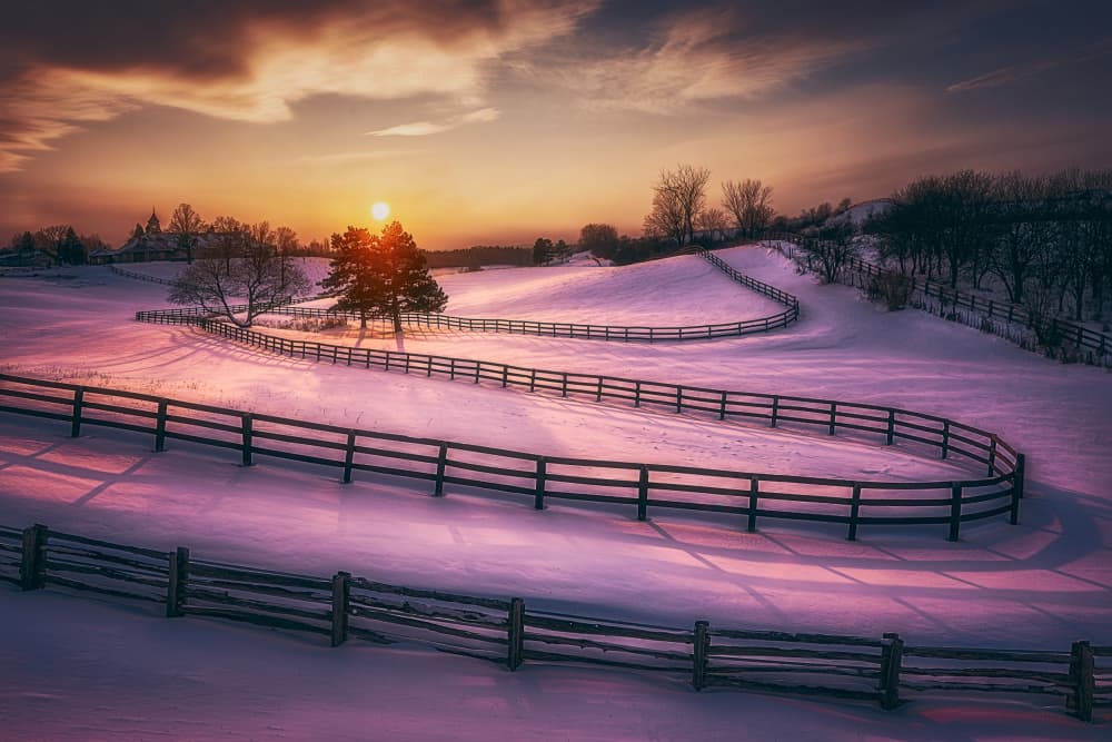 Purple Snow Winter Sunset by Ben.C.L — canvas wall art